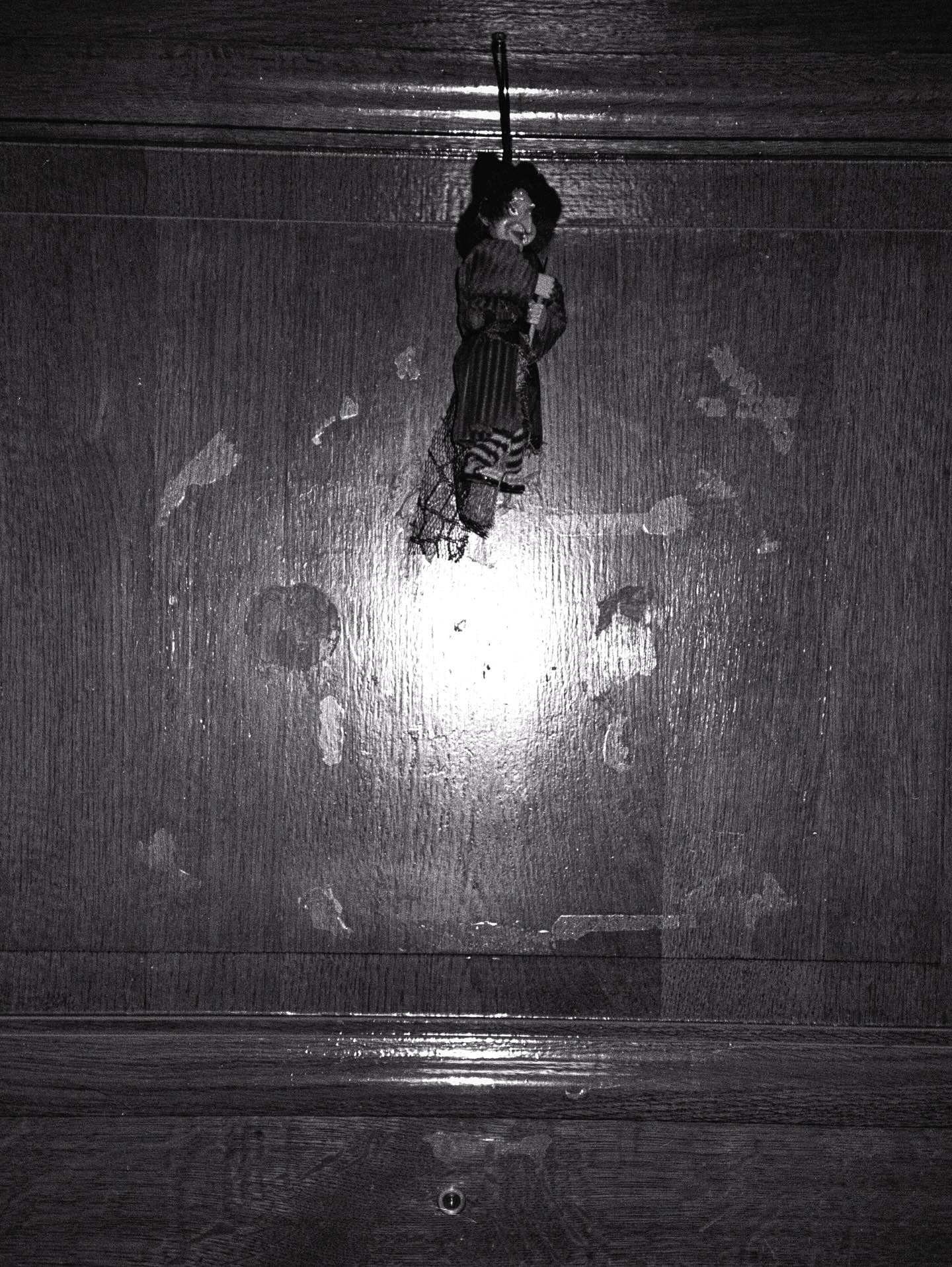 0e4882c7 603c 494f a75c efe134fe9ed2