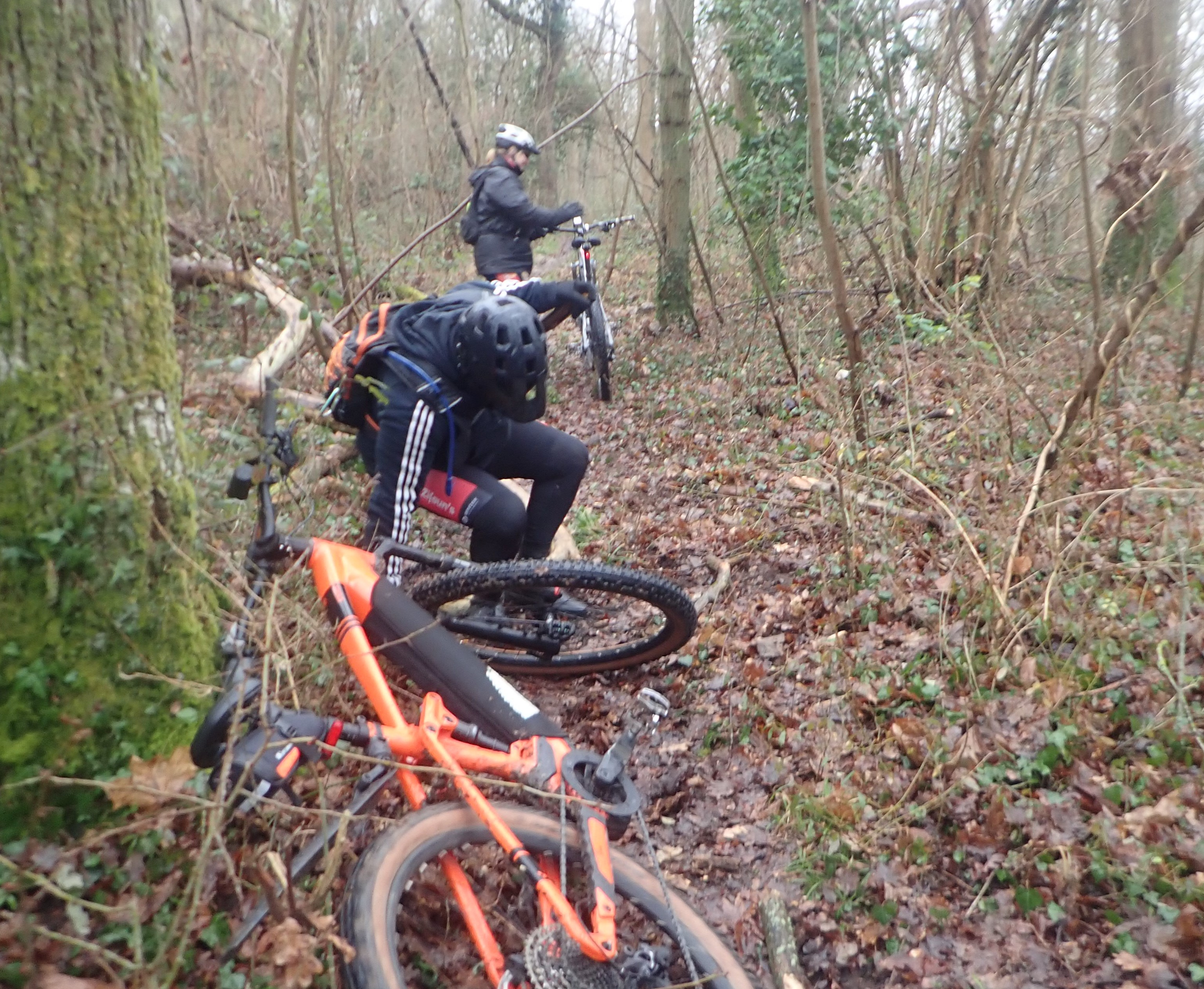 Sortie-du-01-02-2026-18-