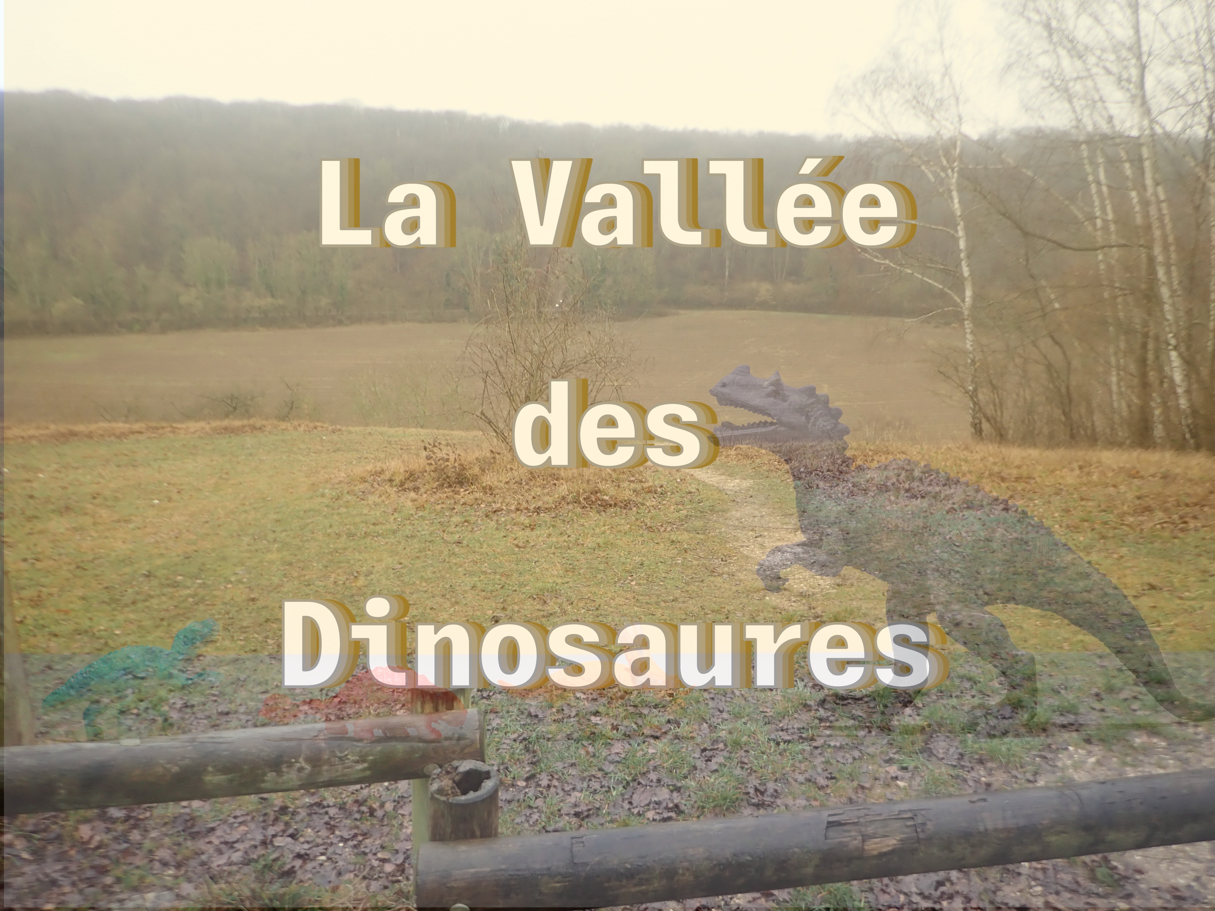 Sortie-du-01-02-2026-13-