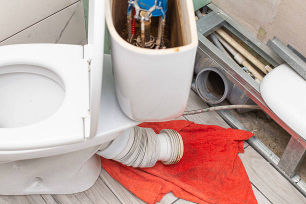 Istockphoto-1474406188-612x612