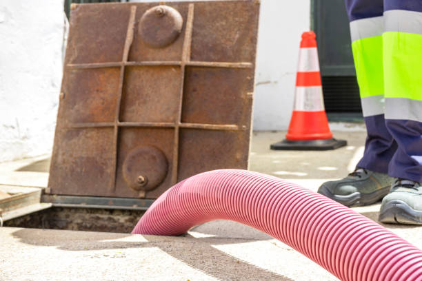 Istockphoto-1599597022-612x612