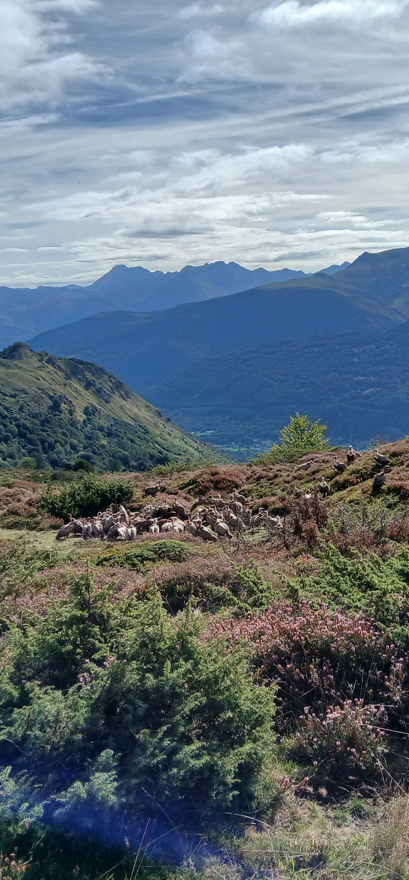 20250914 110022 resized