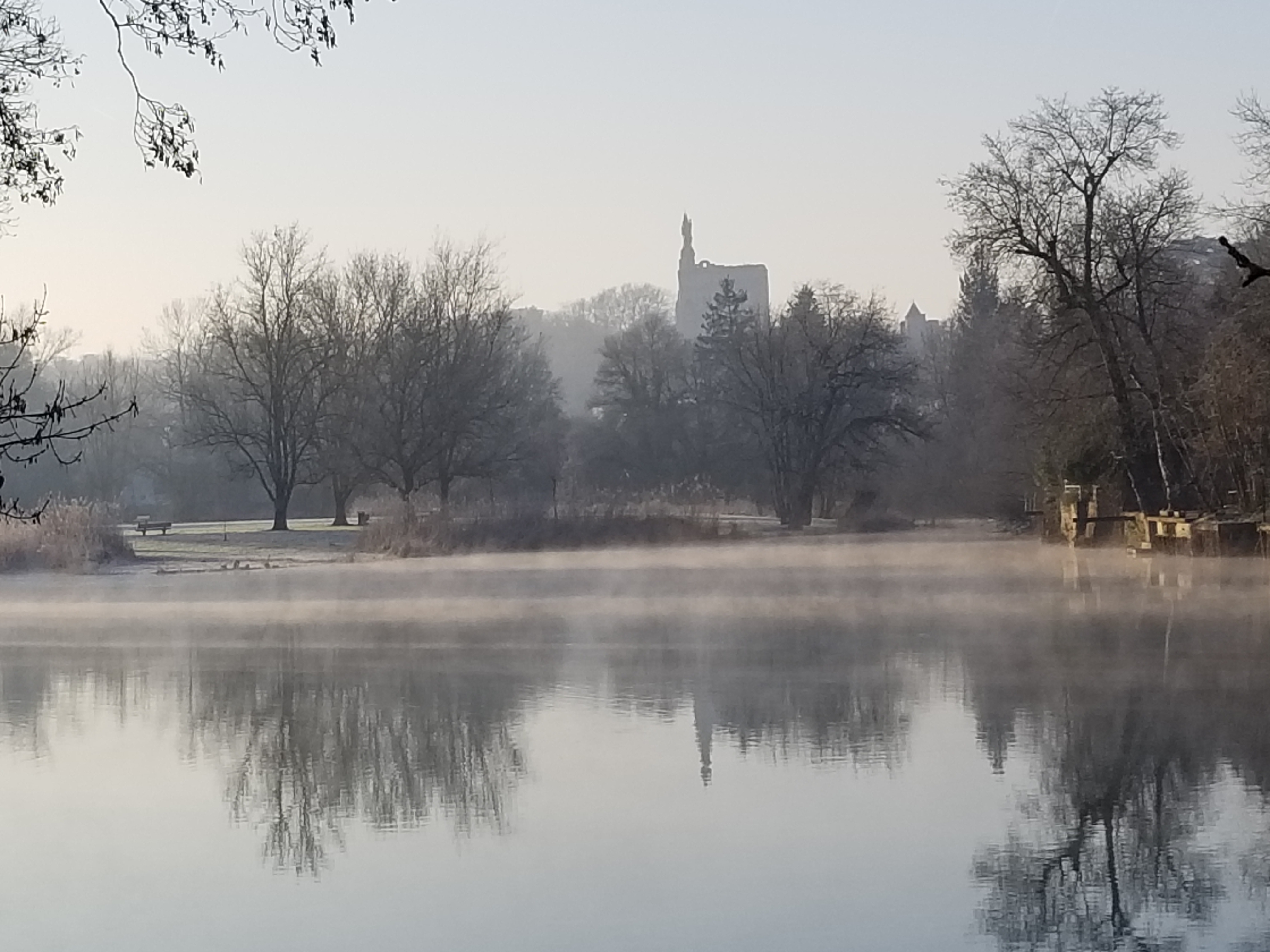 Parlons « environnement » et « développement durable »