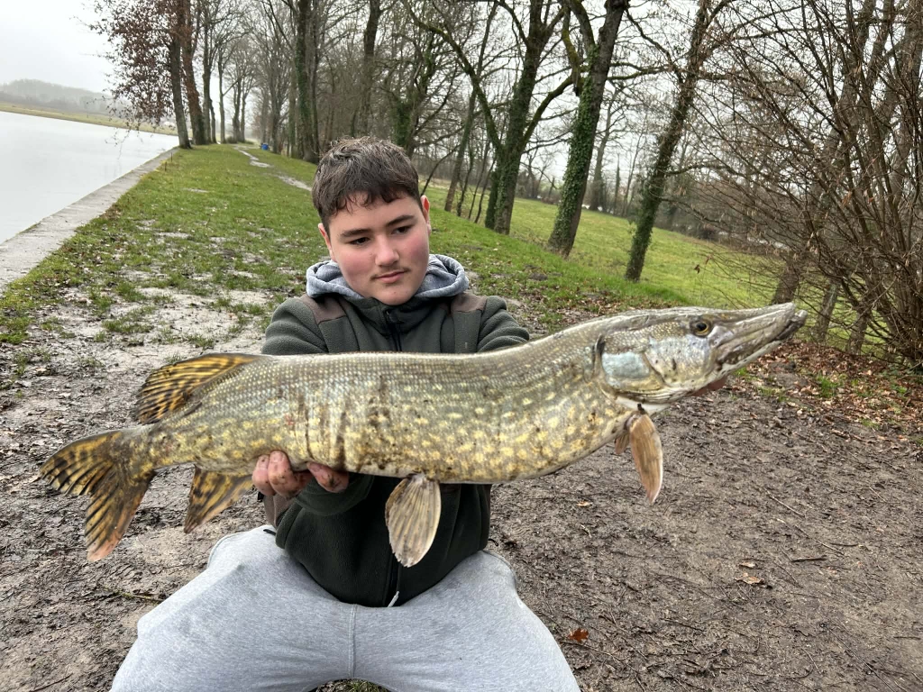 Messenger creation D0802805-8E92-4292-BB01-861B637D2A79