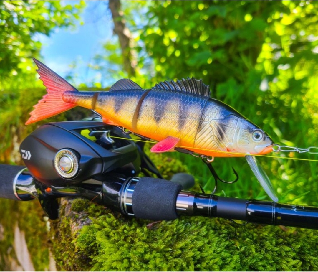 Screenshot 20260204 120240 Google