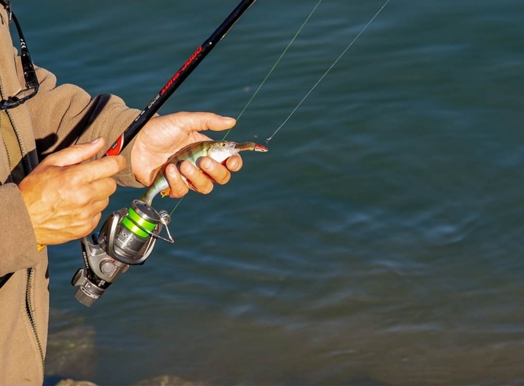 Screenshot 20260204 120308 Google