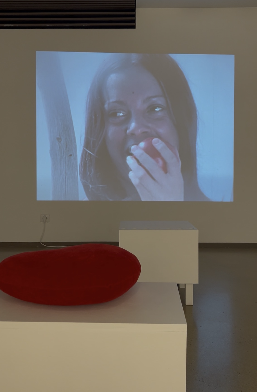 Capture d ecran 2026 02 04 a 17 36 31