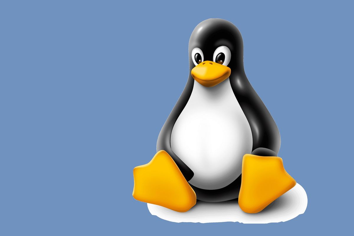 Bien débuter avec Linux