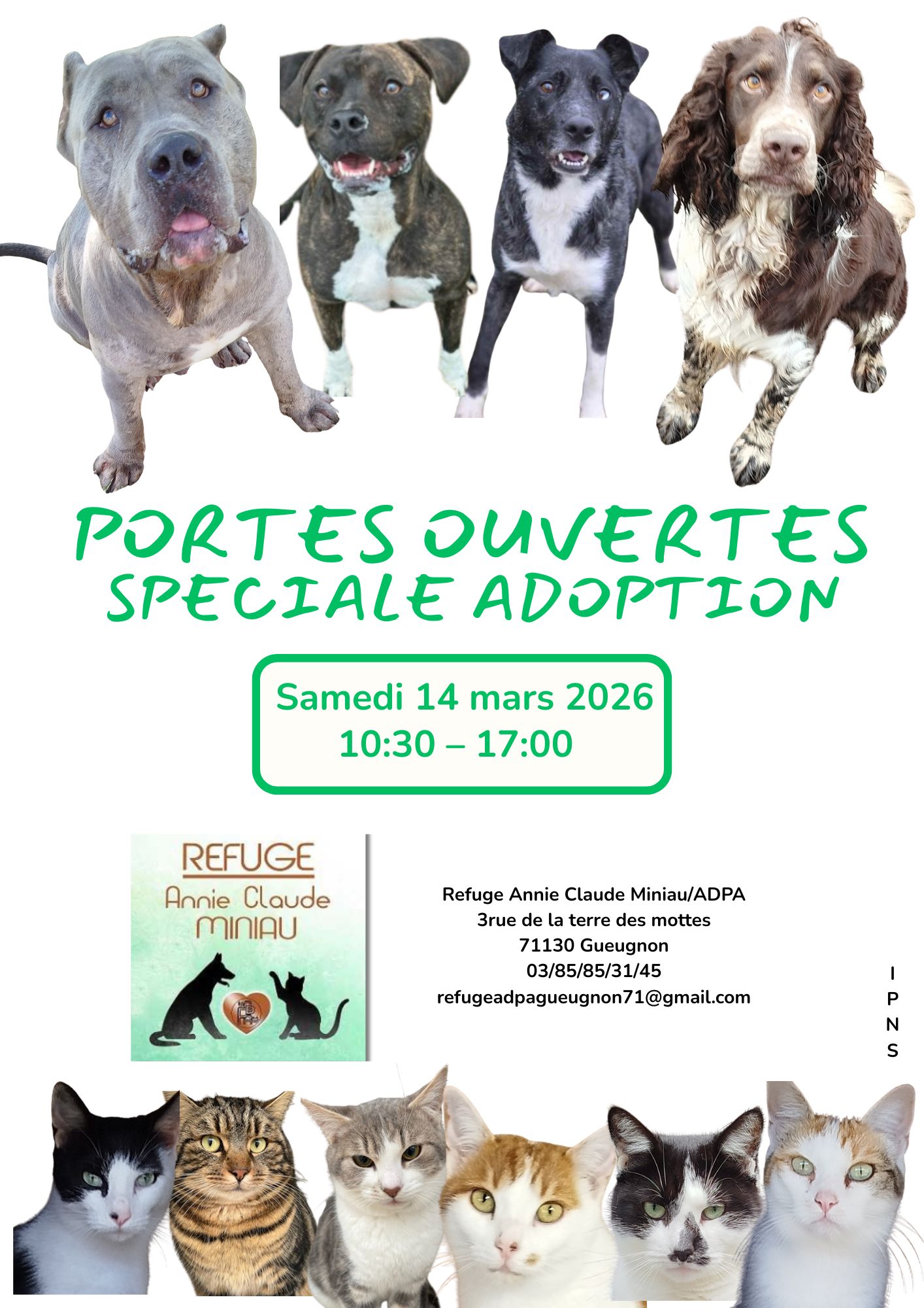 Jaune-Vert-et-Rose-Dessine-a-la-Main-Ecole-Journee-Portes-Ouvertes-A4