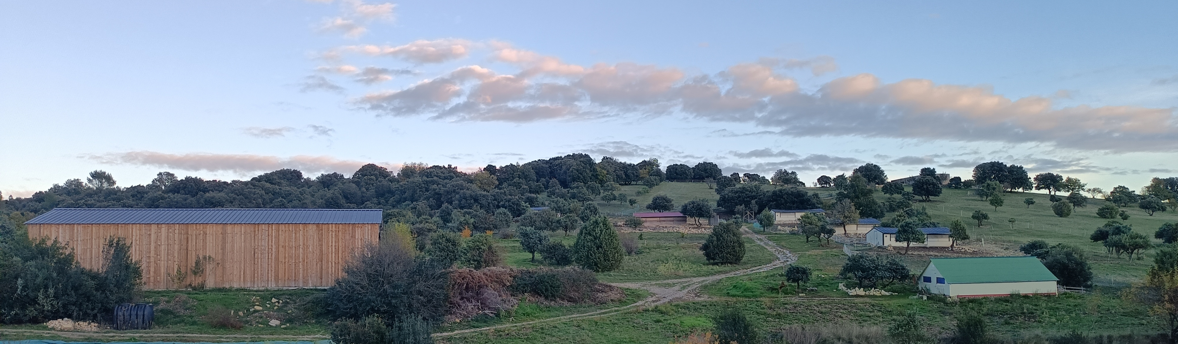 IMG 20251107 175328