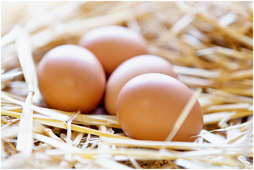 Oeufs