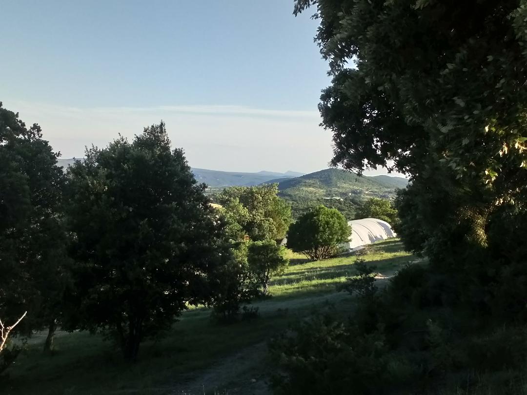 Serre