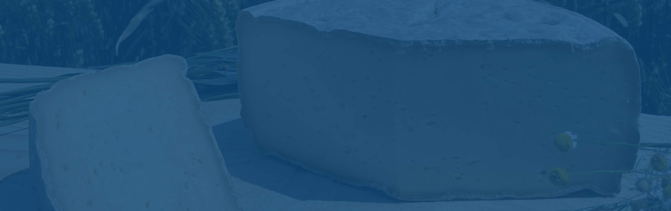 Fromagerie de flandre banner