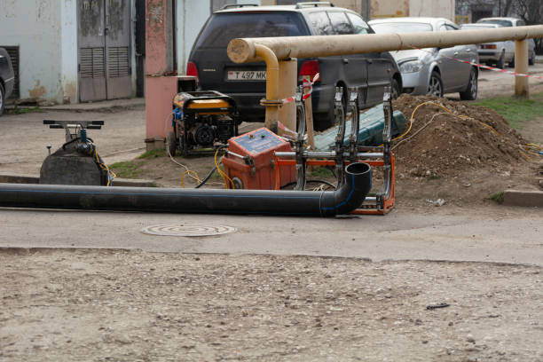 Istockphoto-1467377675-612x612