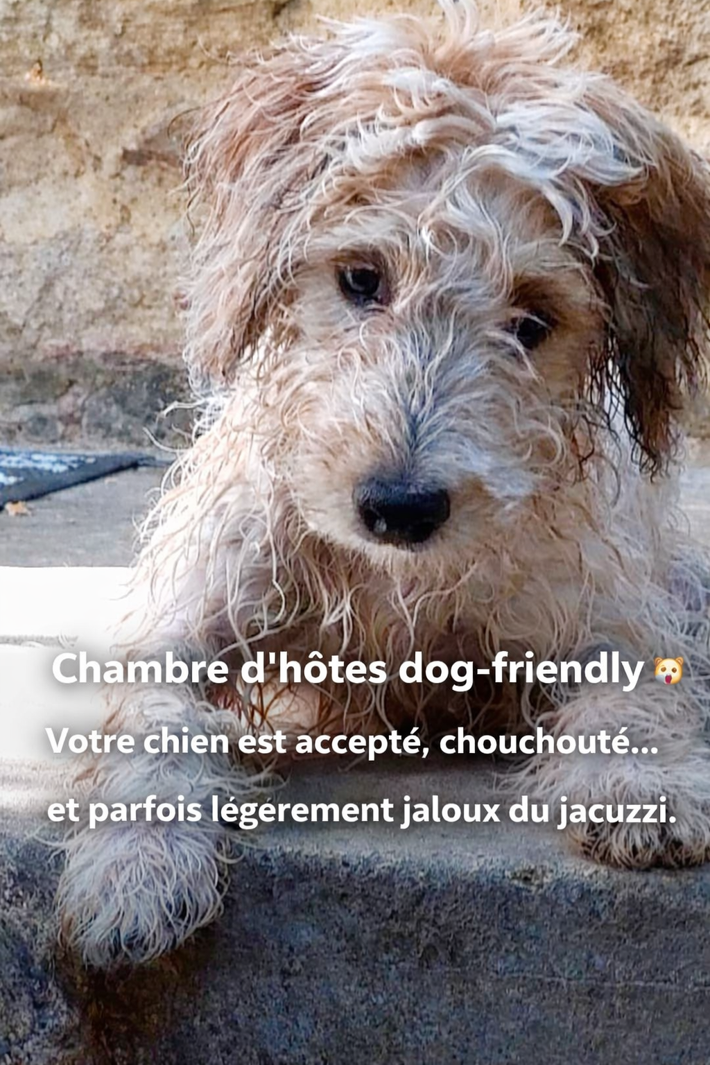 ChatGPT-Image-5-fevr-2026-17 32 36