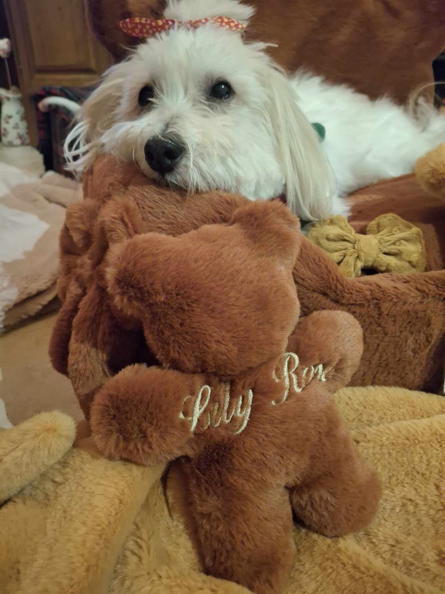 Received 1288485756418668