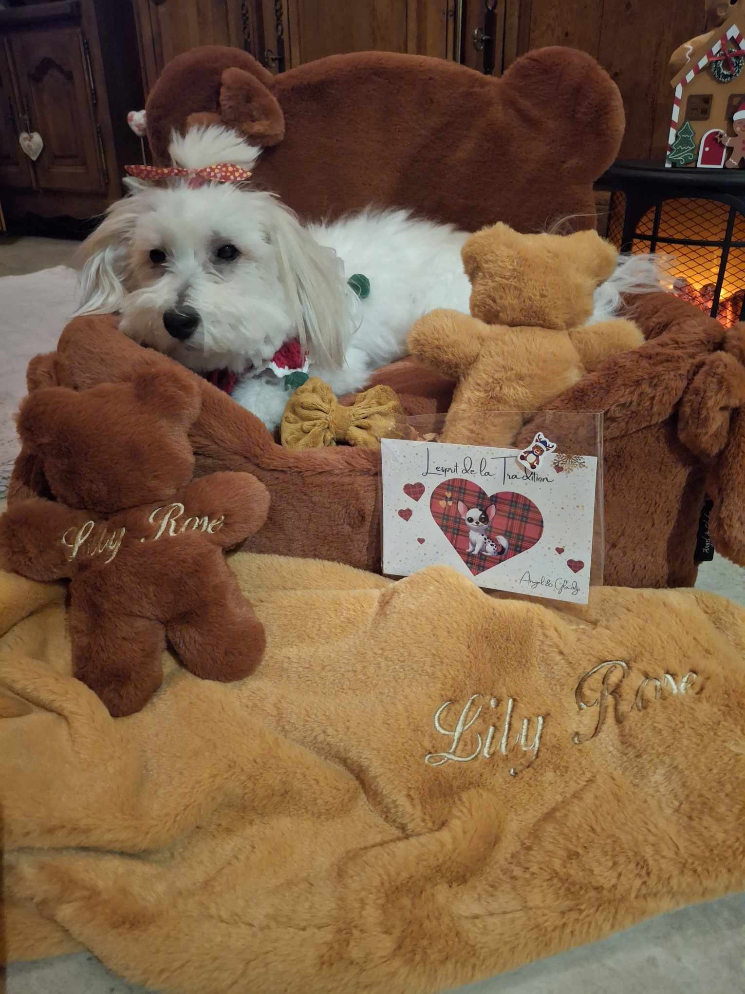 Received 1841311203539069