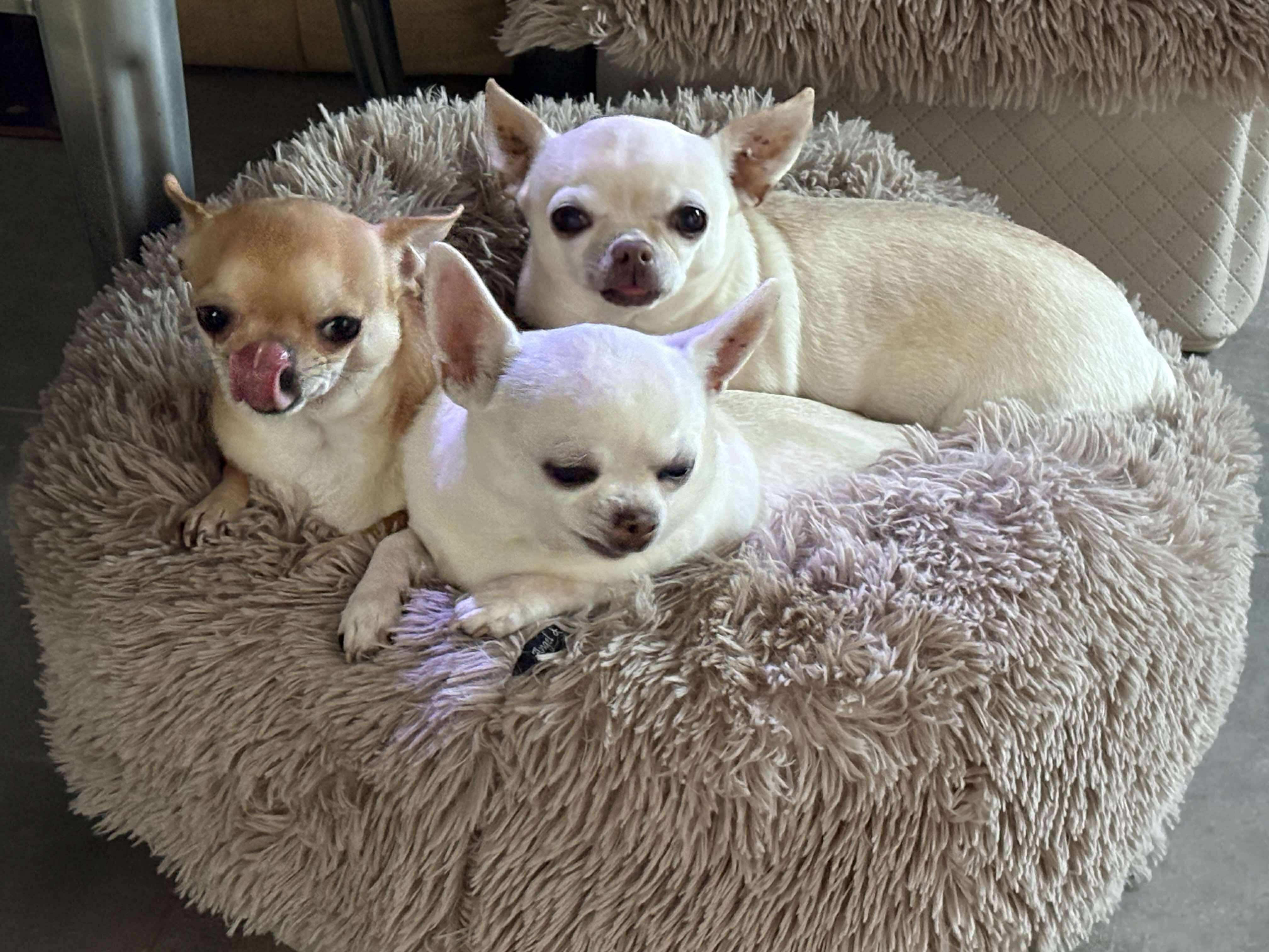 Received 2088807915292601