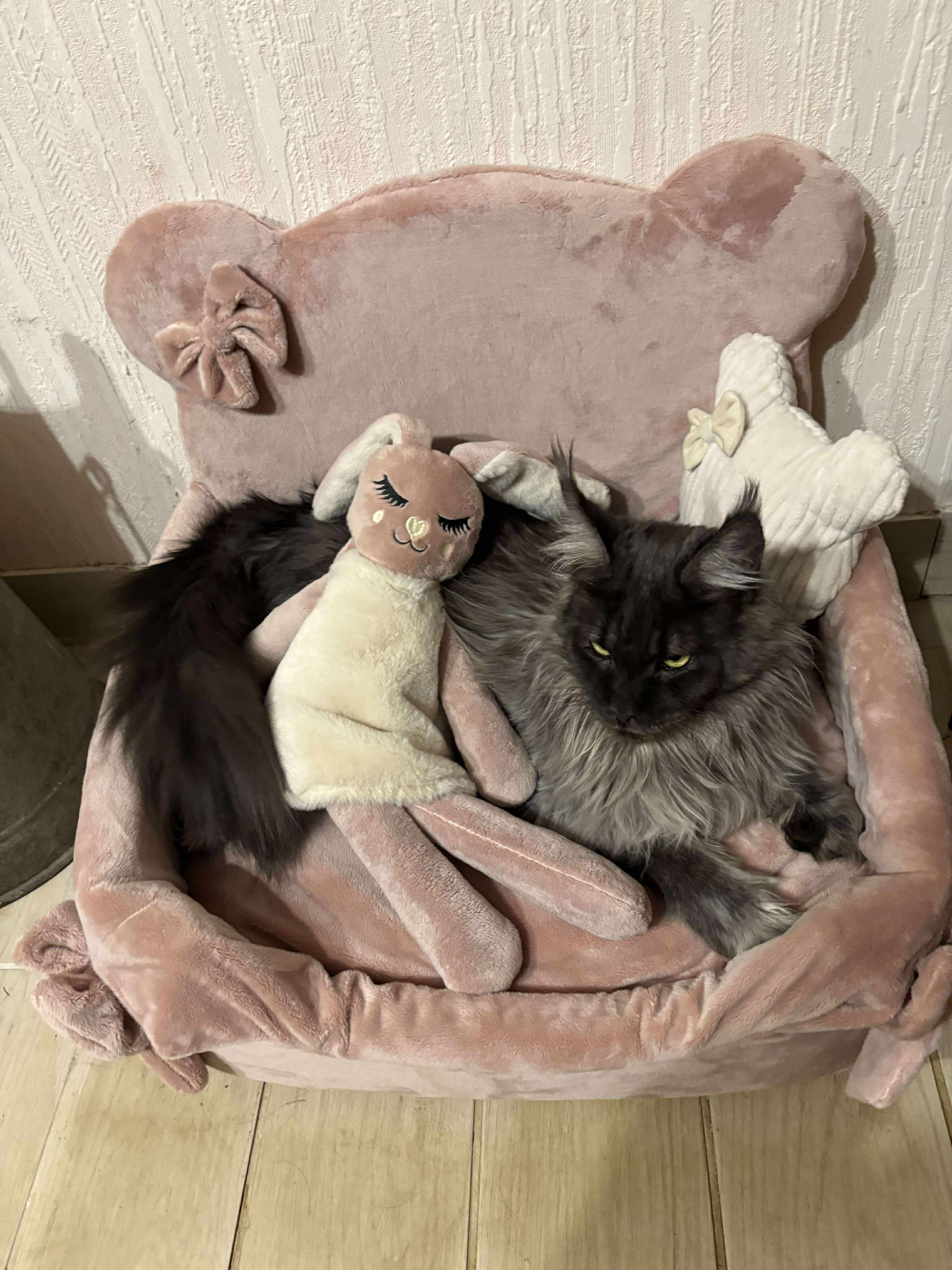 Received 2428566557593738