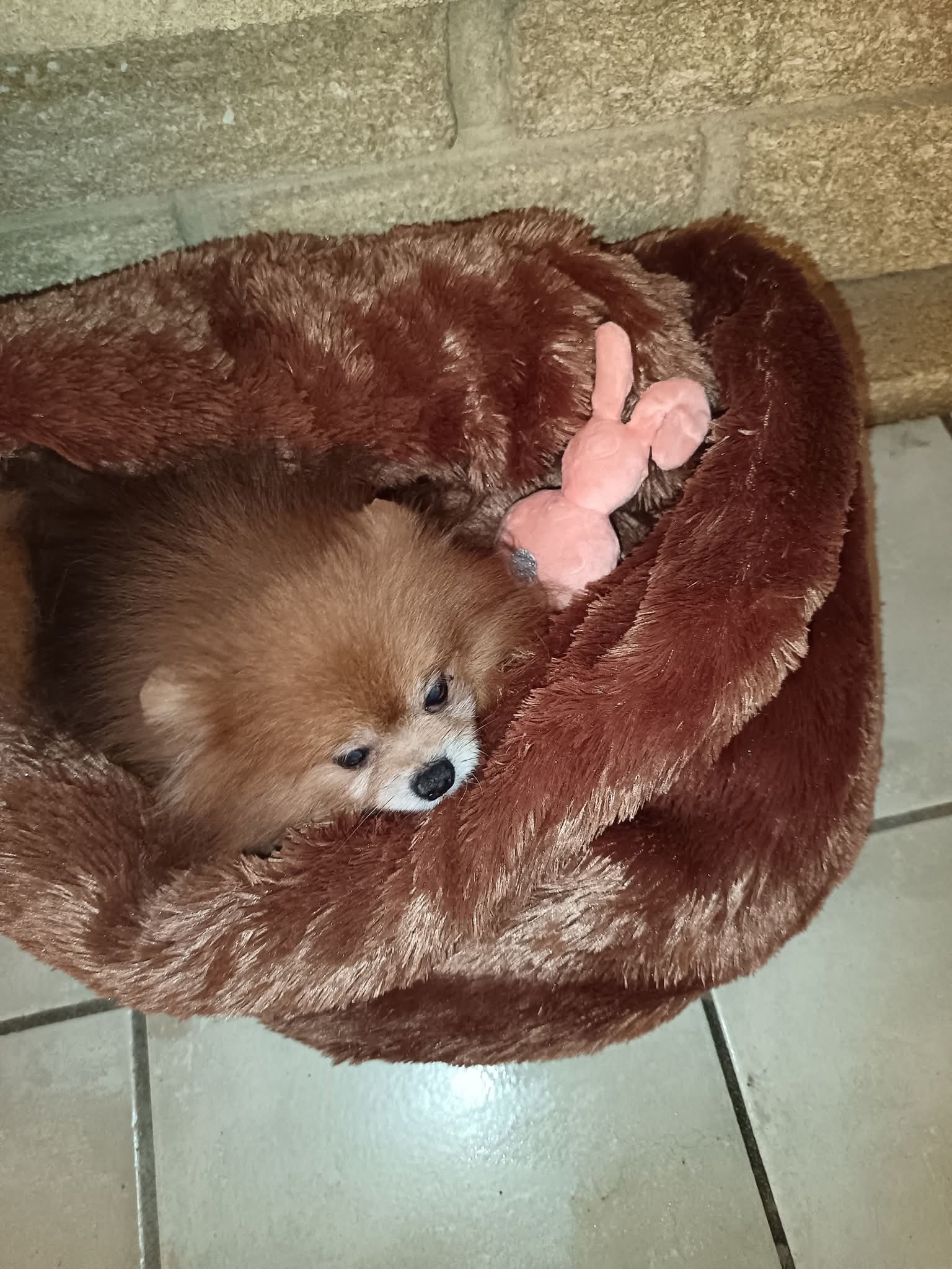 FB IMG 1769663949159