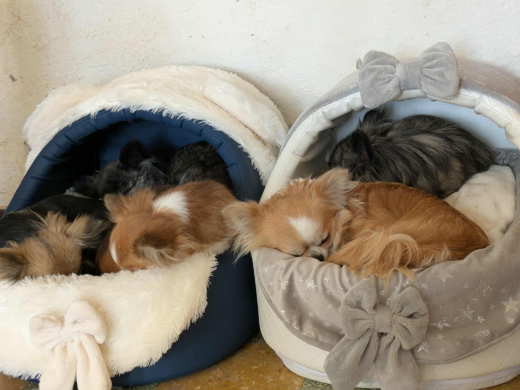 Received 877285895214375