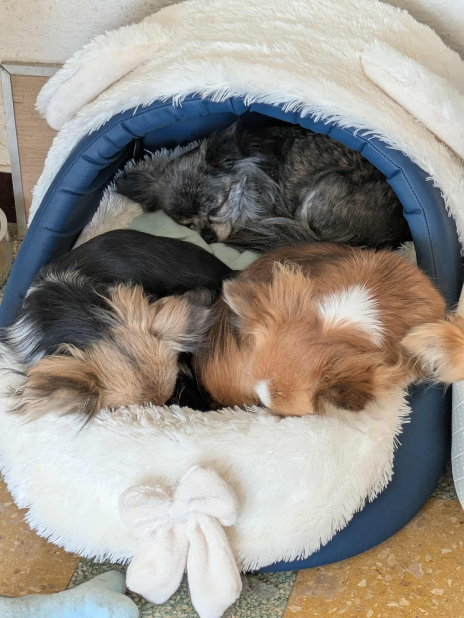 Received 768631712375427