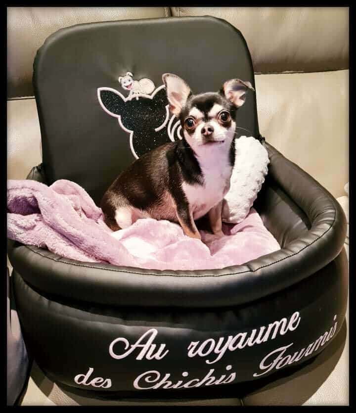 Received 1263040202398756