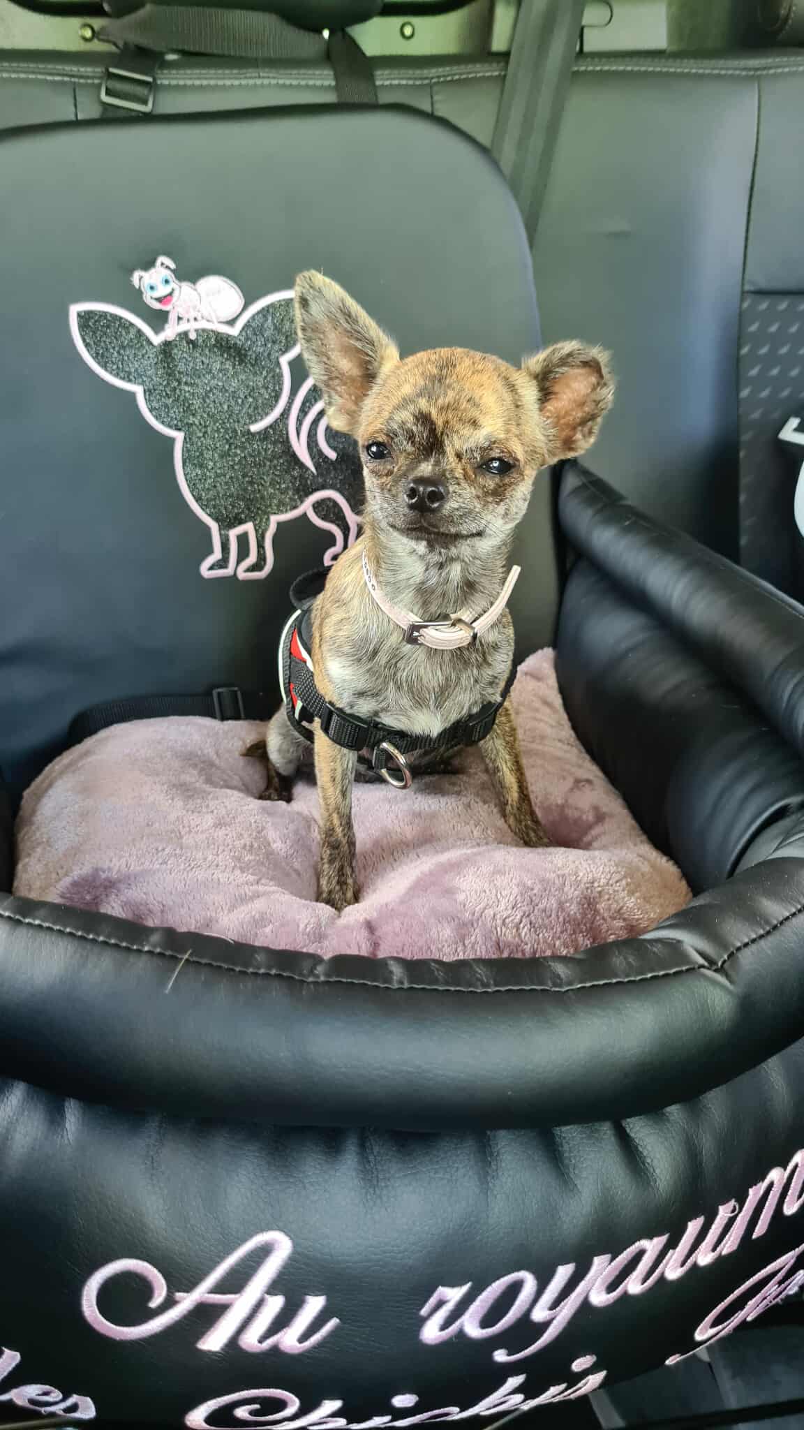 Received 1195862459329929