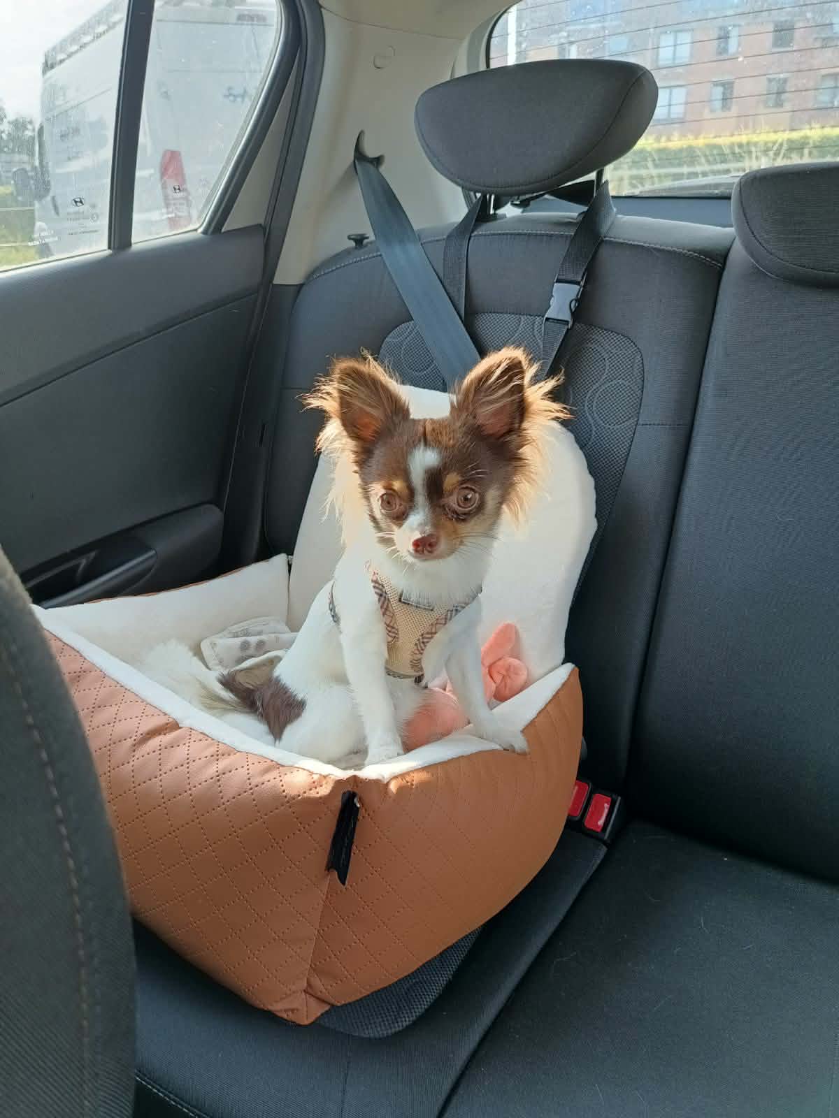 Received 1569136407657630