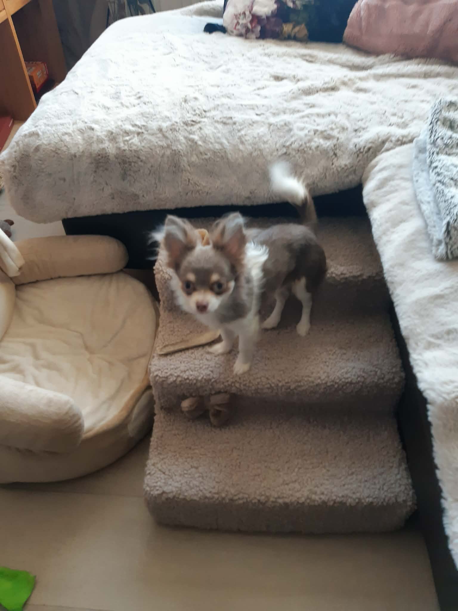 Received 1674333257336576