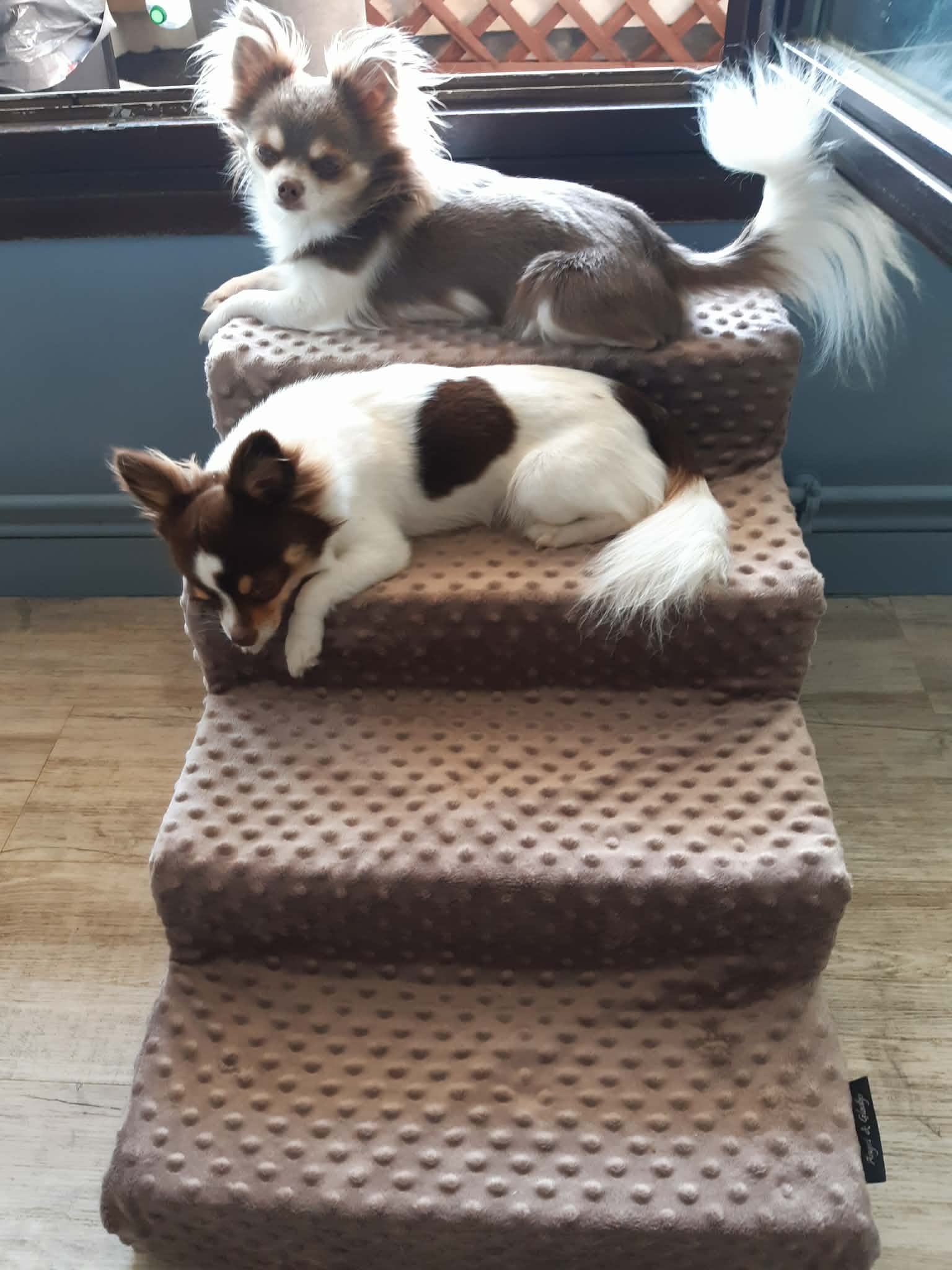 Received 2127529731352000