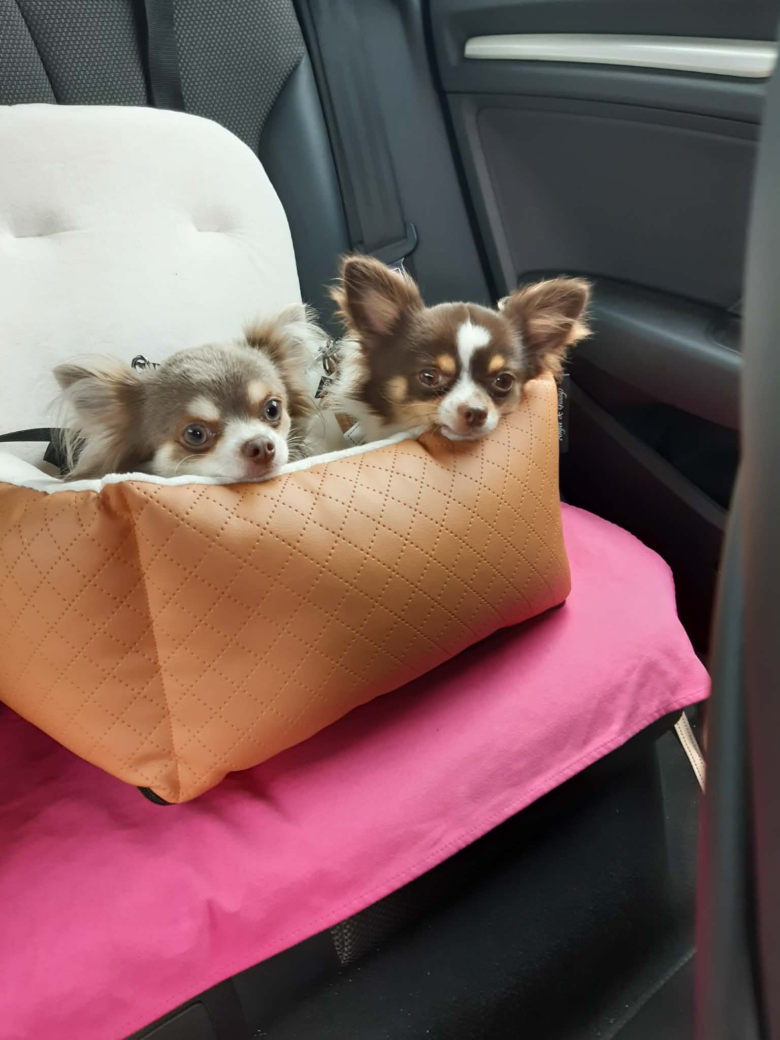 Received 2169588120260865