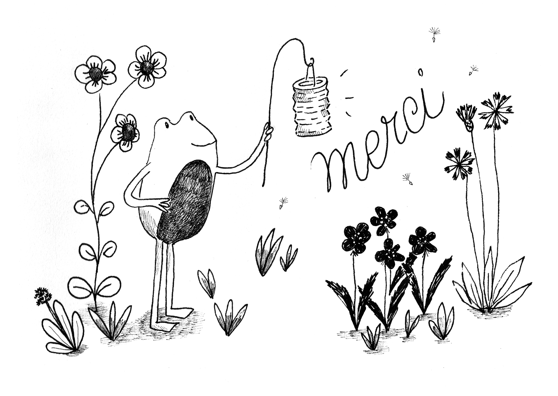 Meci cornelius 110 155