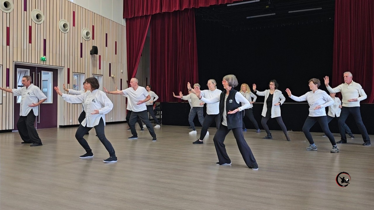 Demonstration qi gong tai chi telethon maubec isere art du mieux etre cja 2025