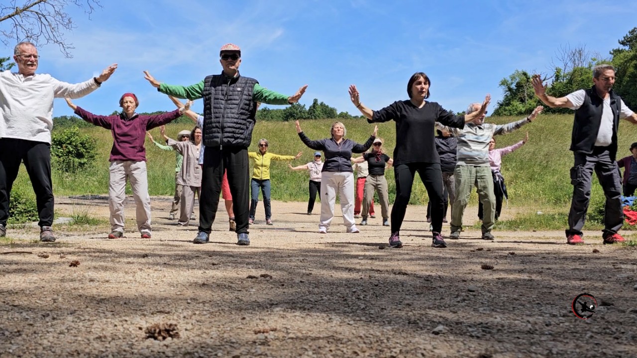 Stage qi gong tai chi nature villefontaine isere art du mieux etre