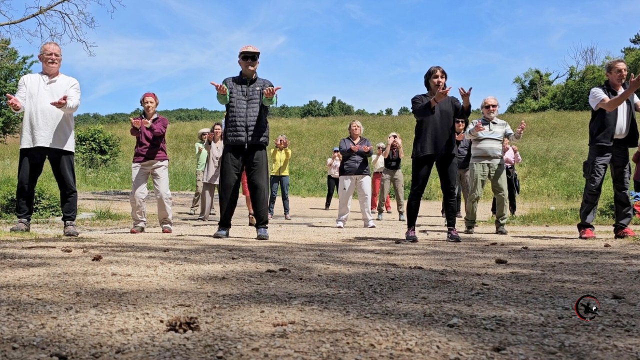 Stage qi gong tai chi nature saint quentin fallavier isere art du mieux etre