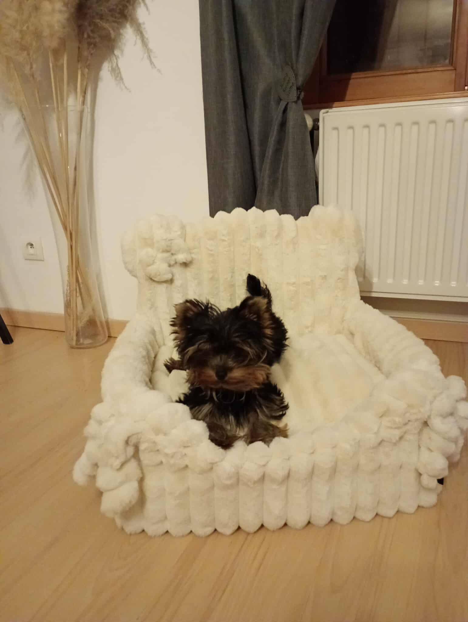 Received 1744057456977870