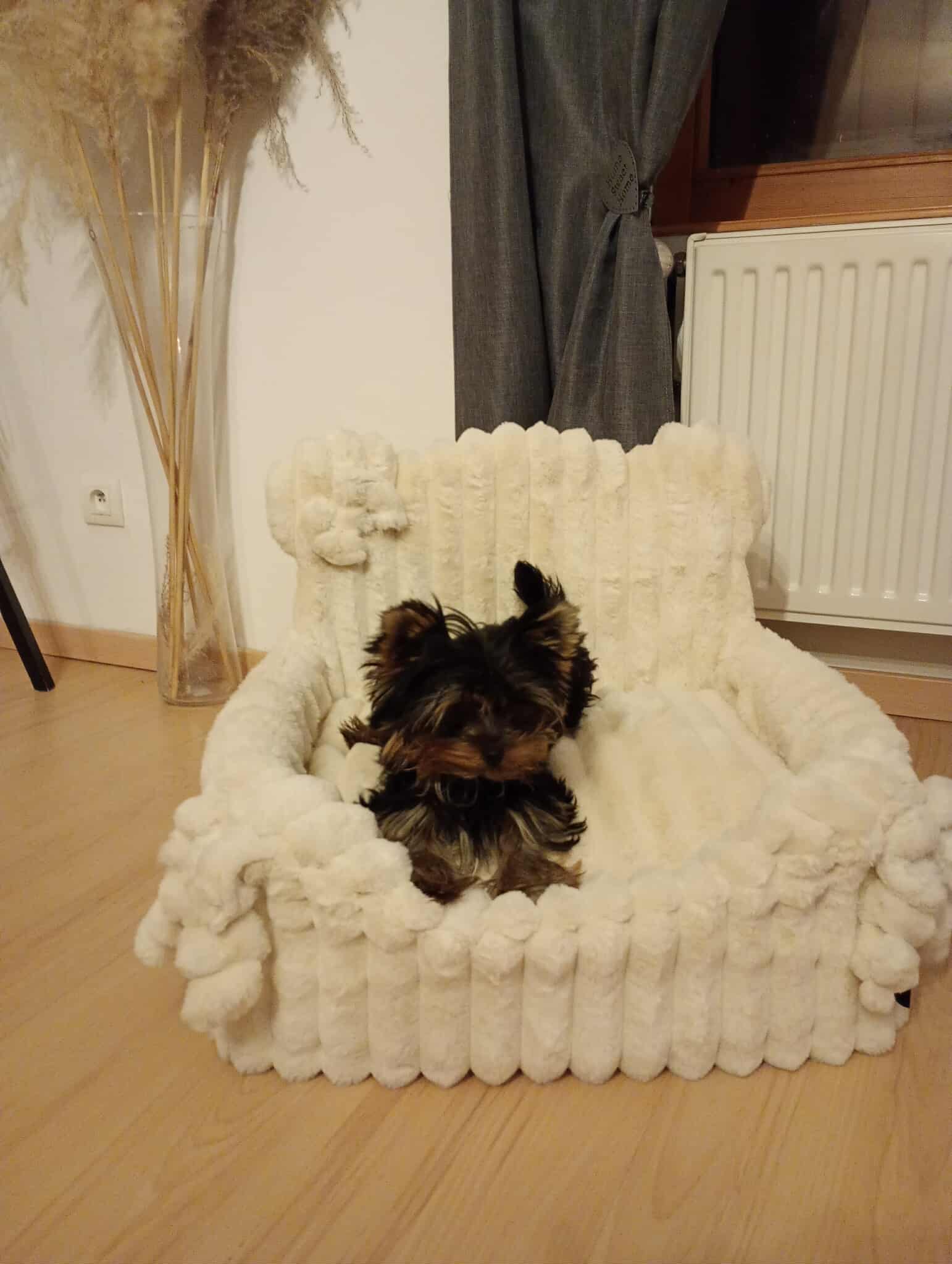 Received 1437633184737196