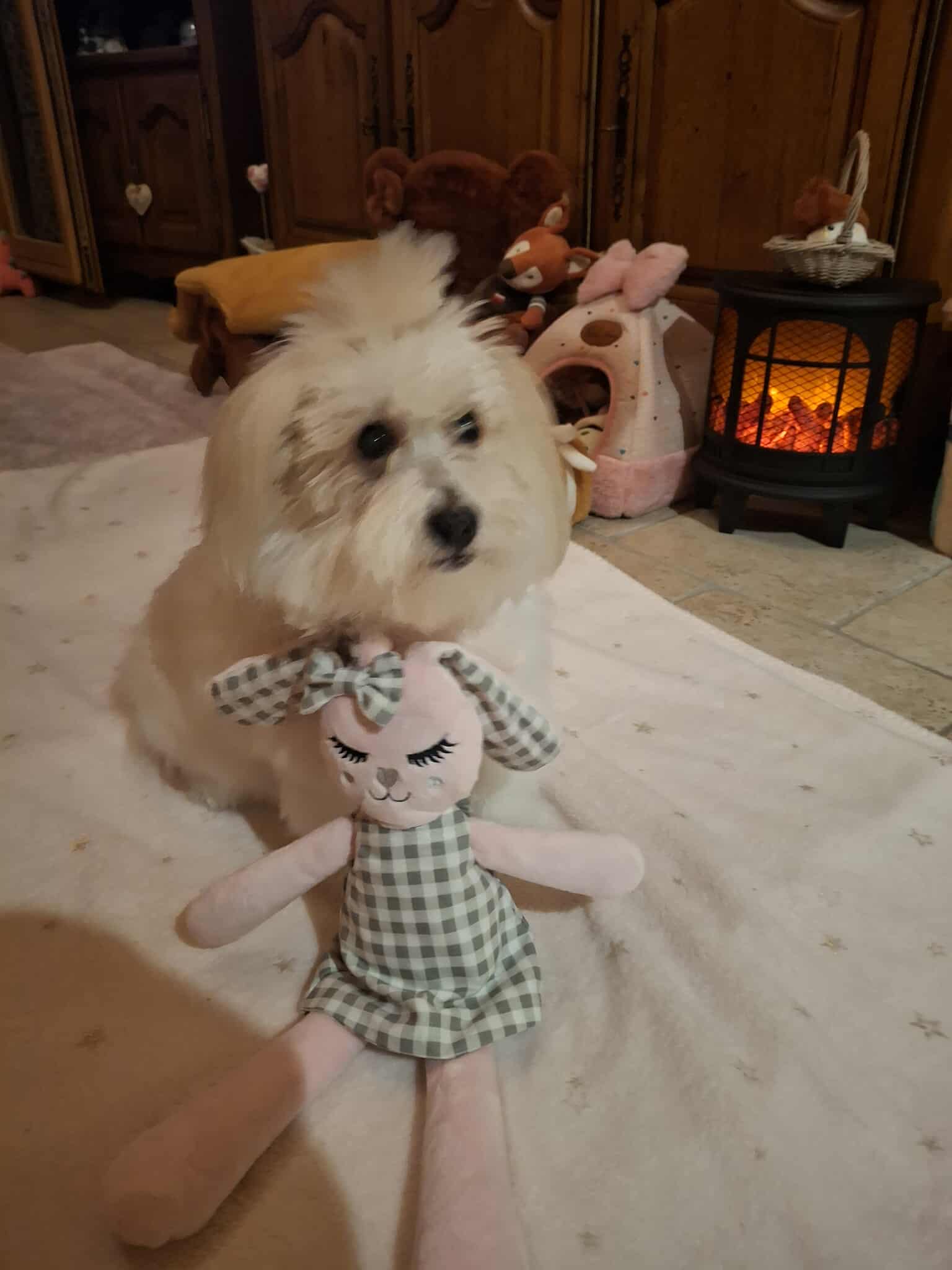 Received 1457492909137258