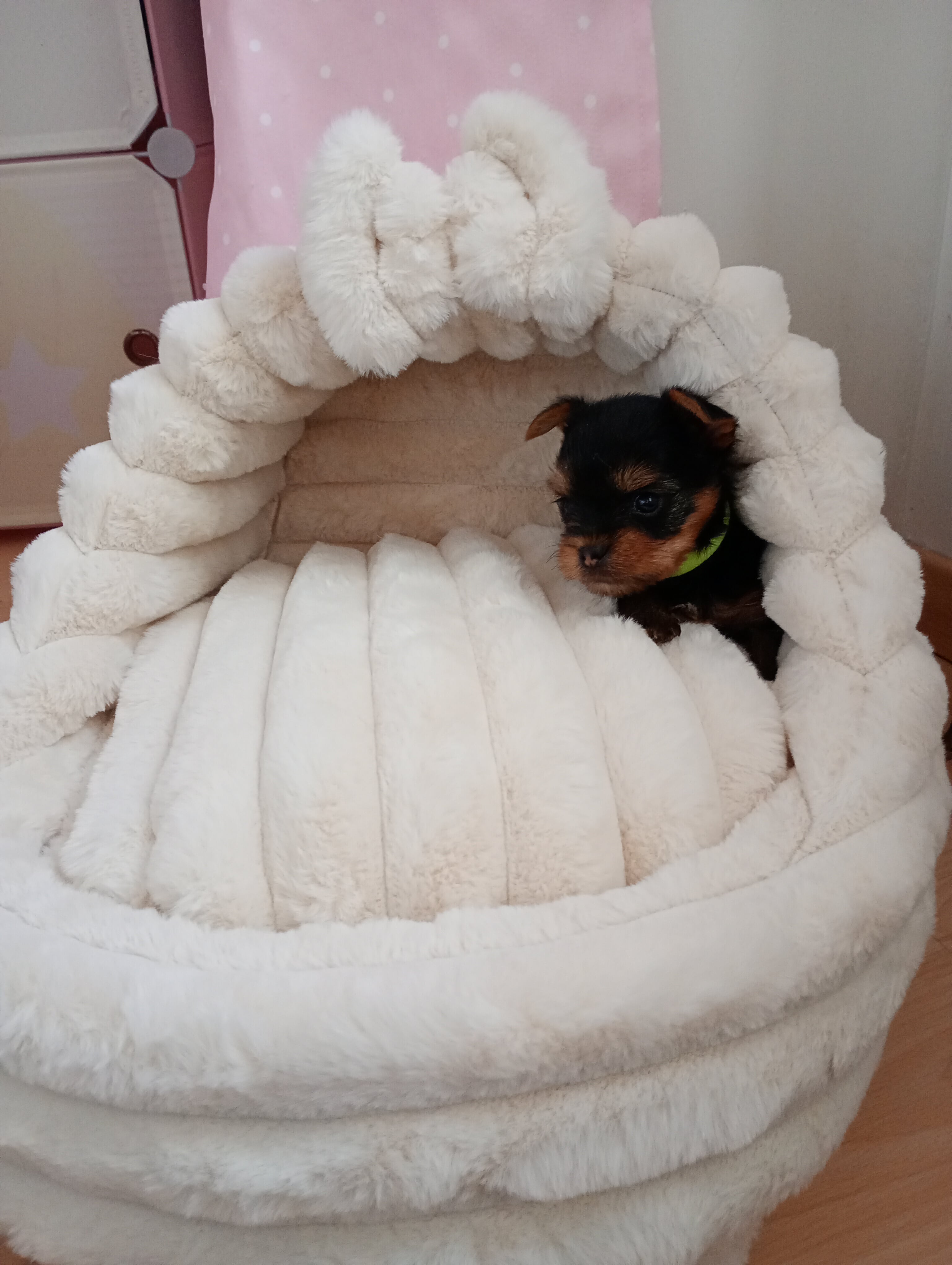 Received 1268903048461707