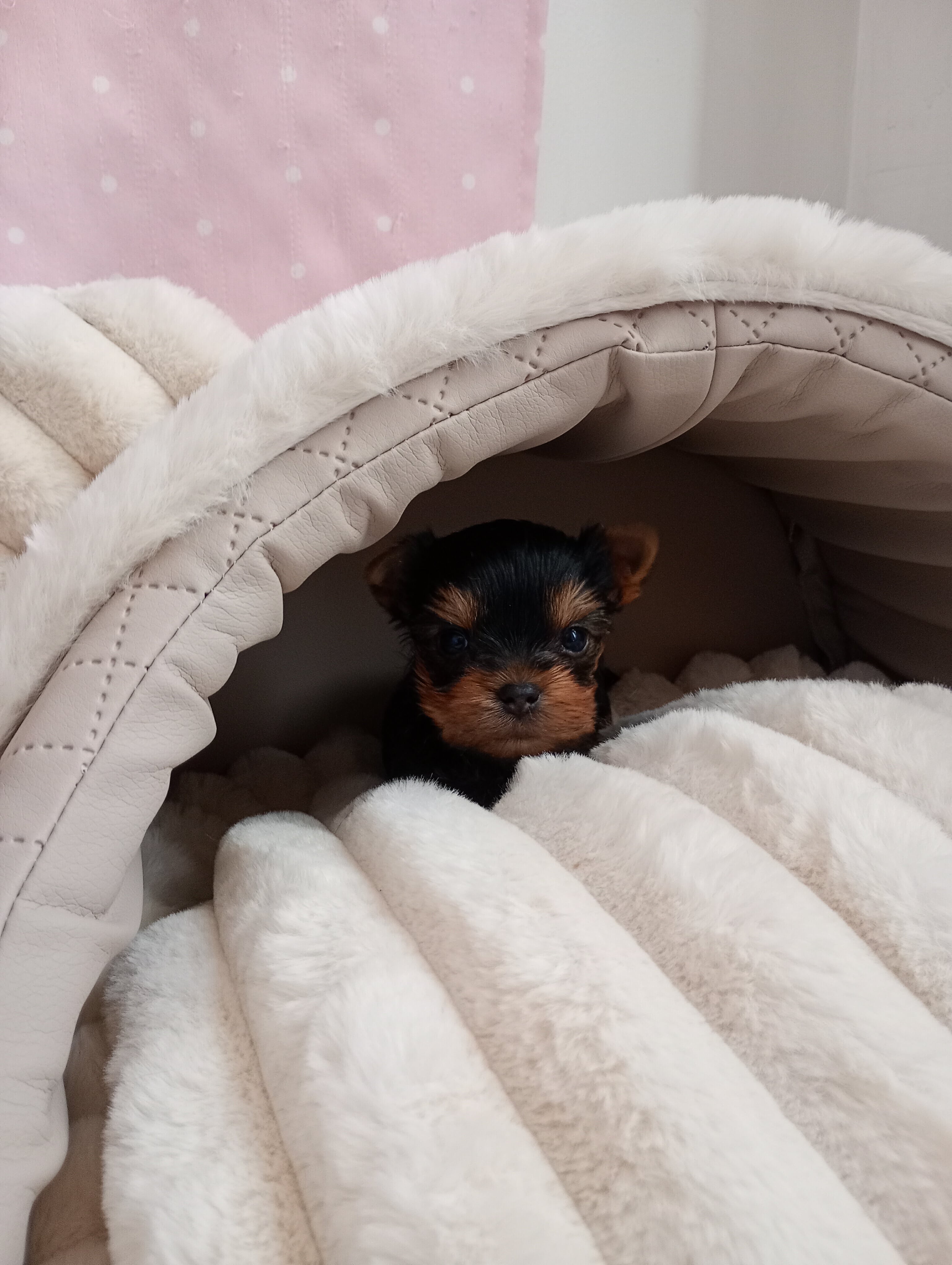 Received 1412031886484463