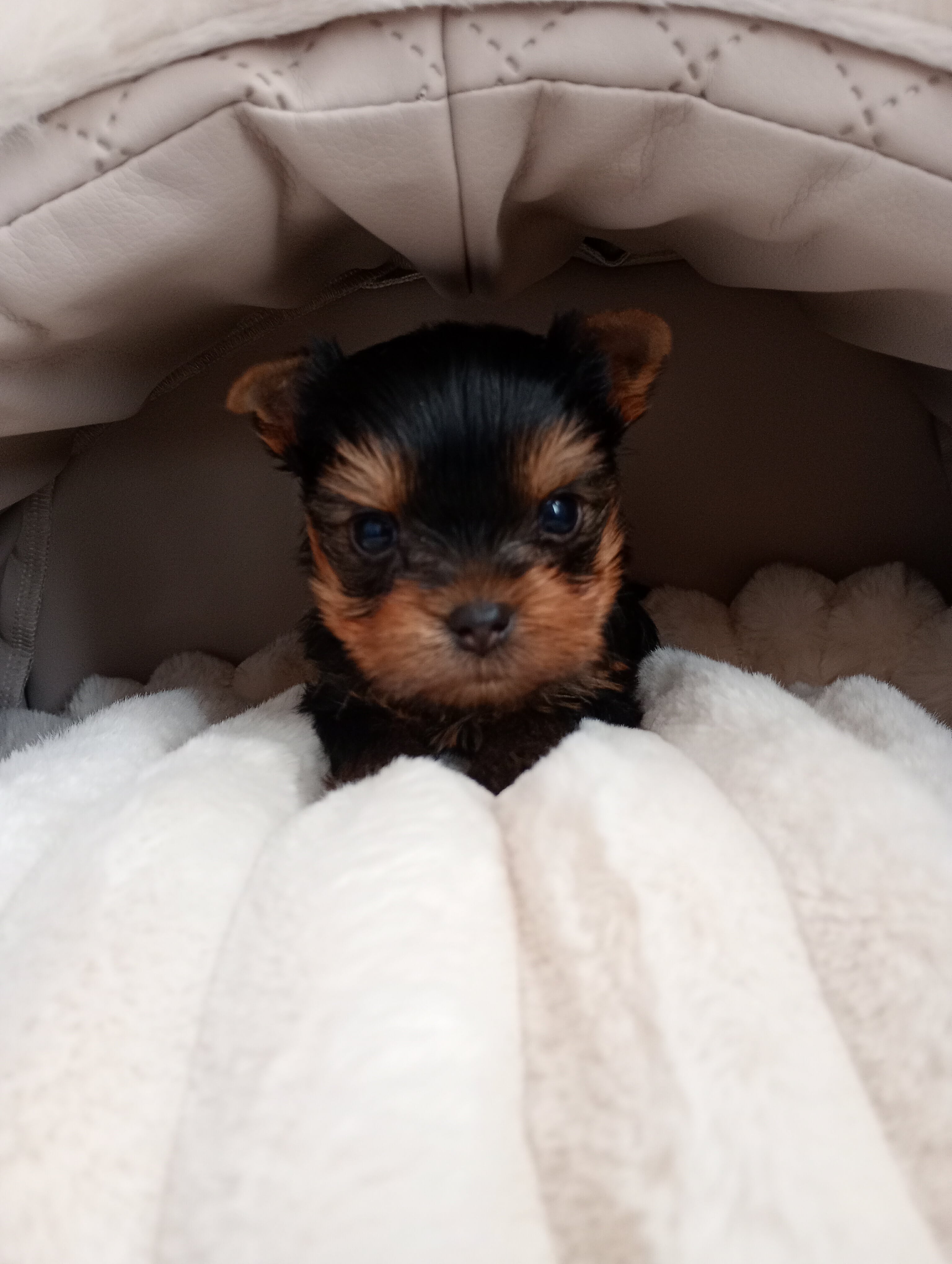 Received 903536582629151