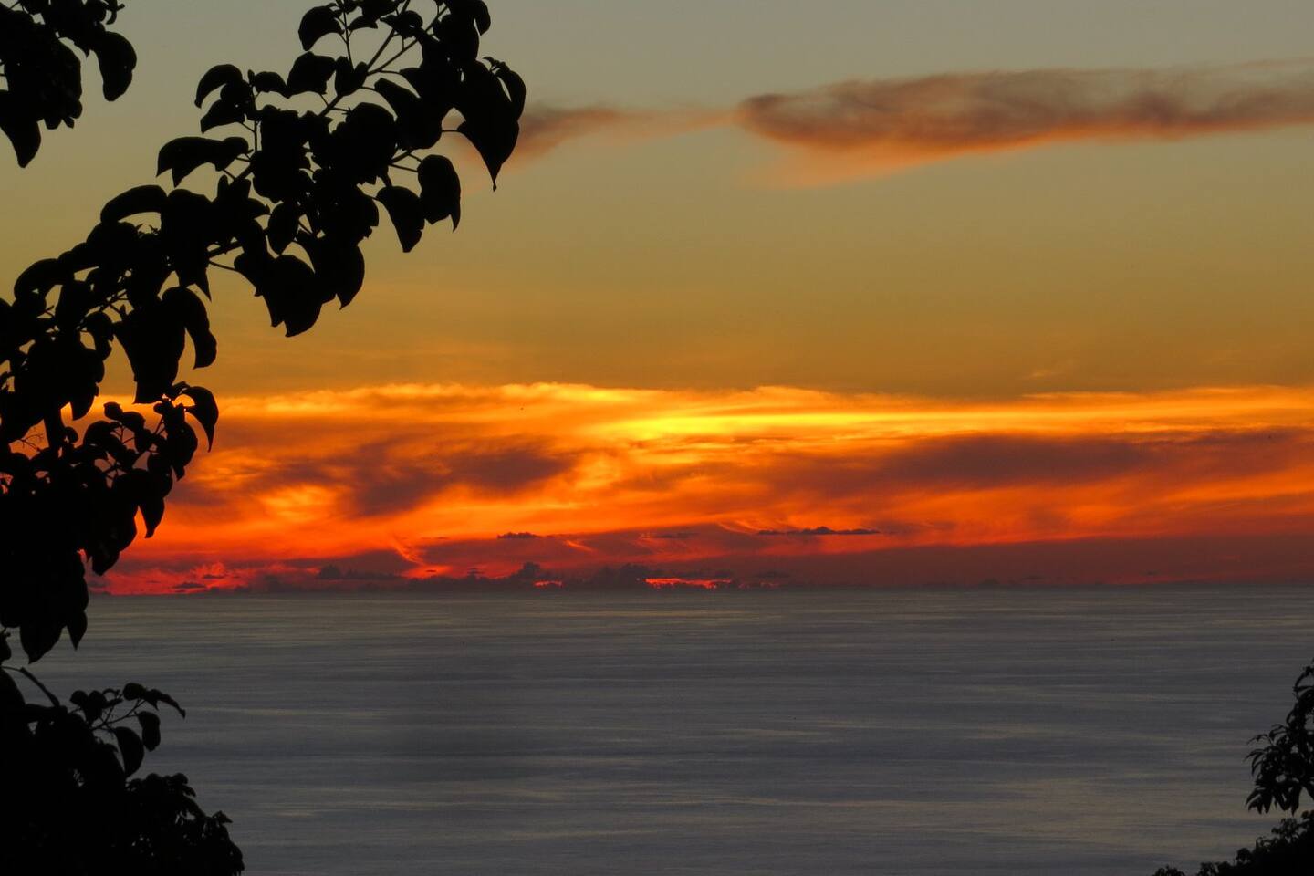 16972ba5 e48a 44c4 9da0 9afdbd8c2dec