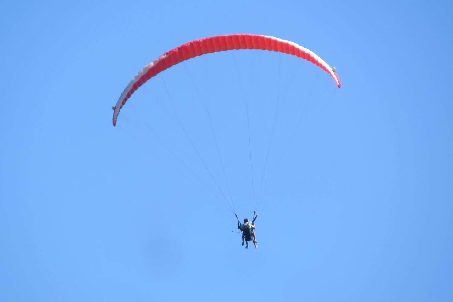 96f71706 ac51 40f3 a35d ccb20f1c624a