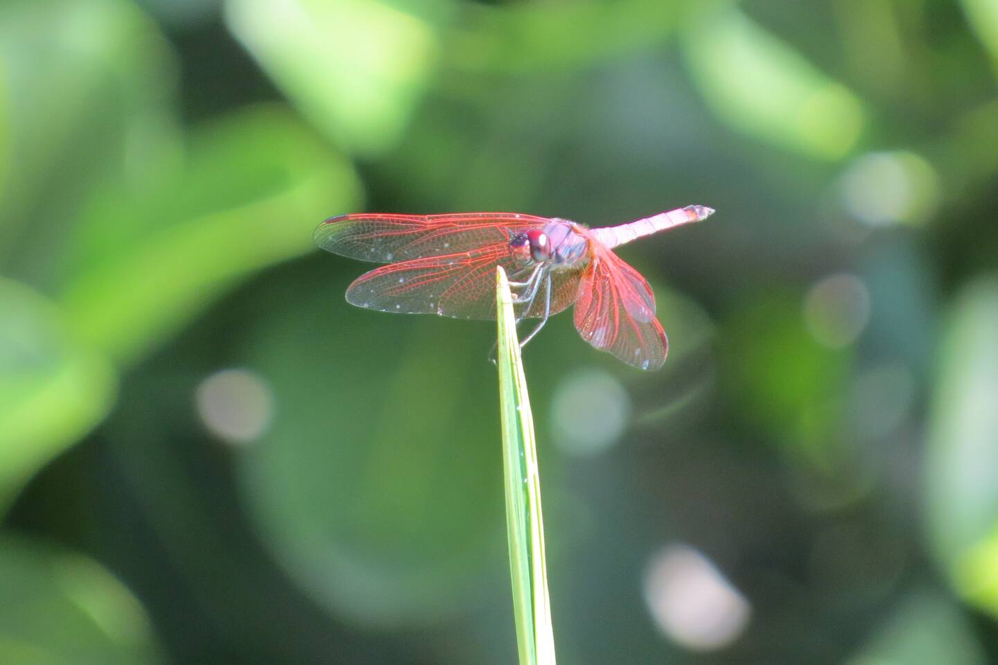 23f191bd dced 40fb bb8f 3bfa3bc3c35c