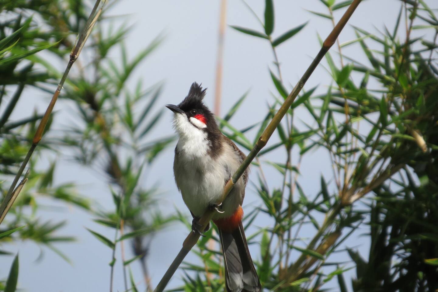 9e1e1856 d608 4940 b6e1 9346485bedaa