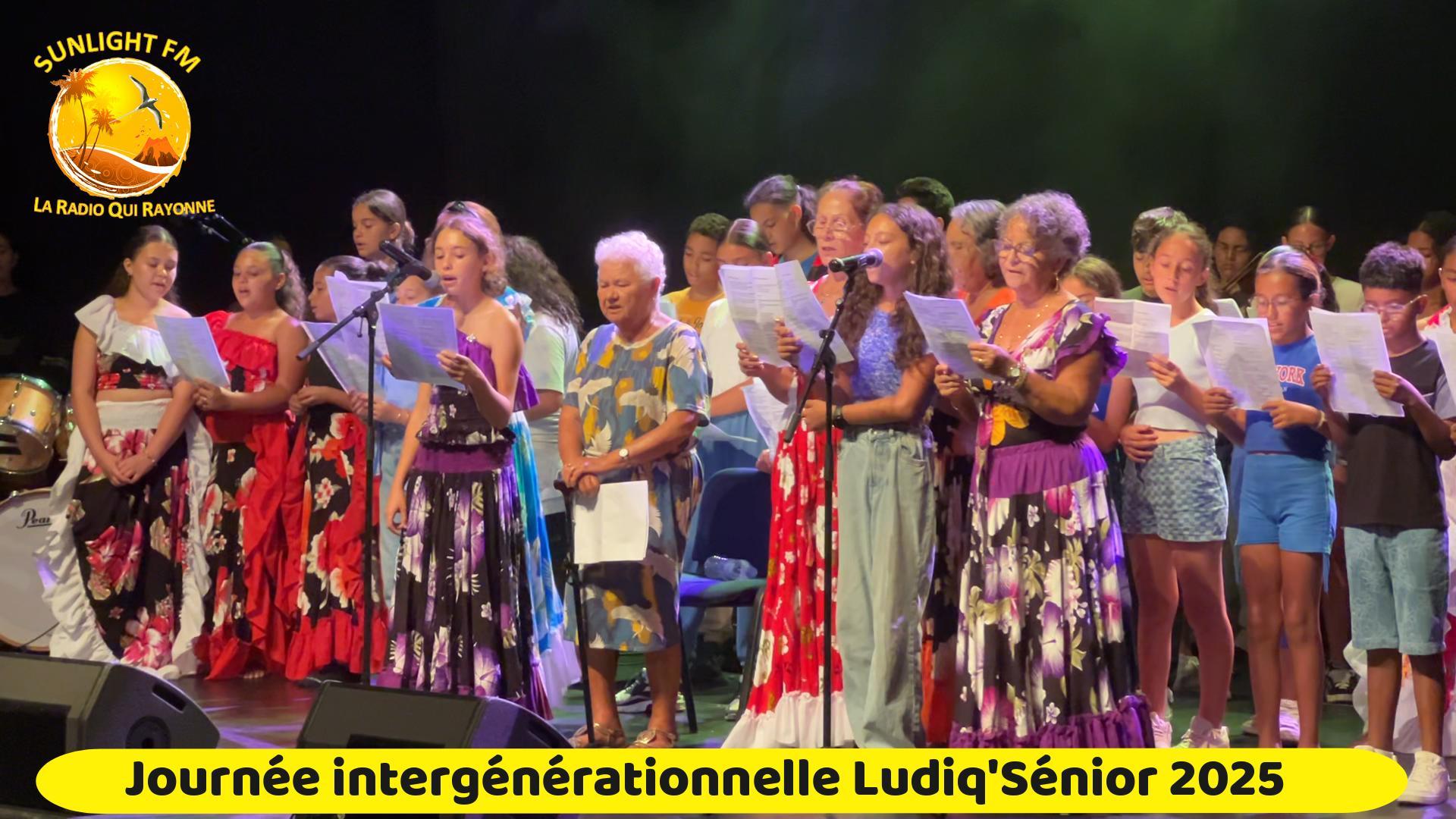 Ludiq-senior-241125-Miniature