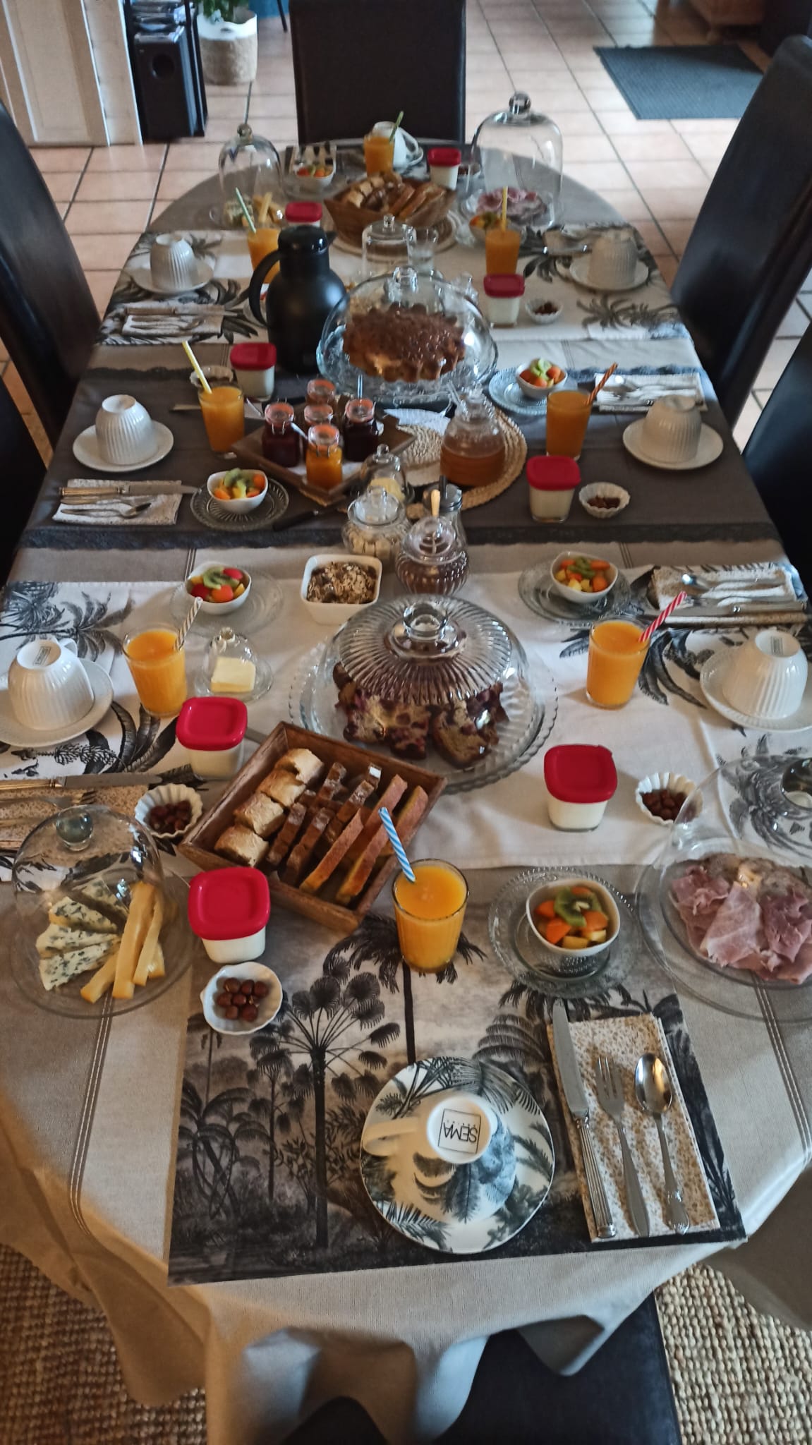 Whatsapp image 2026 02 09 at 15 25 345