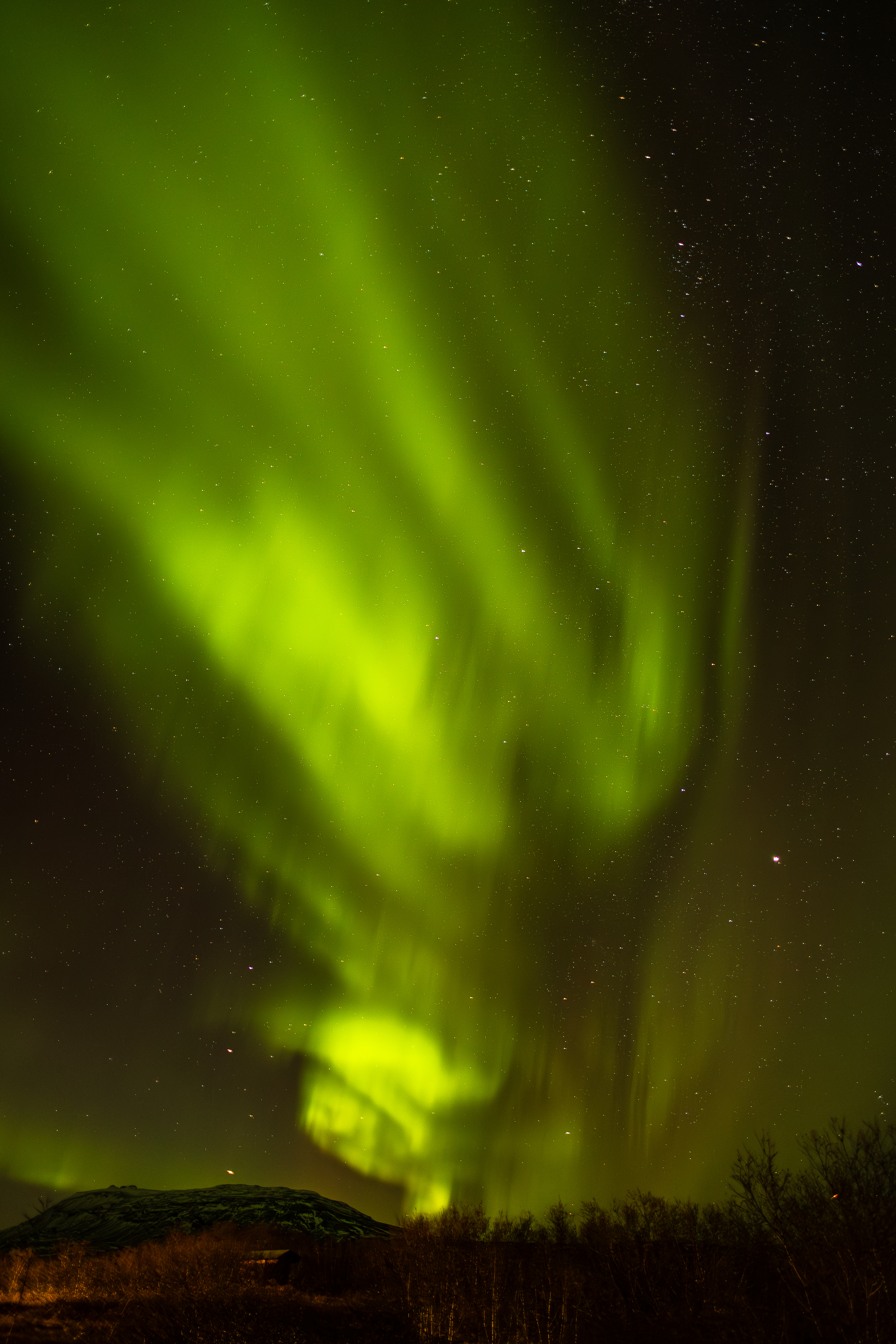 4z1a4241top enhanced nr