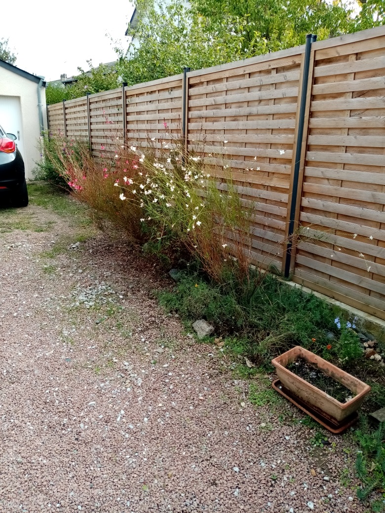 Avo renovation amenagement d une cour maconnerie angers doutre 1